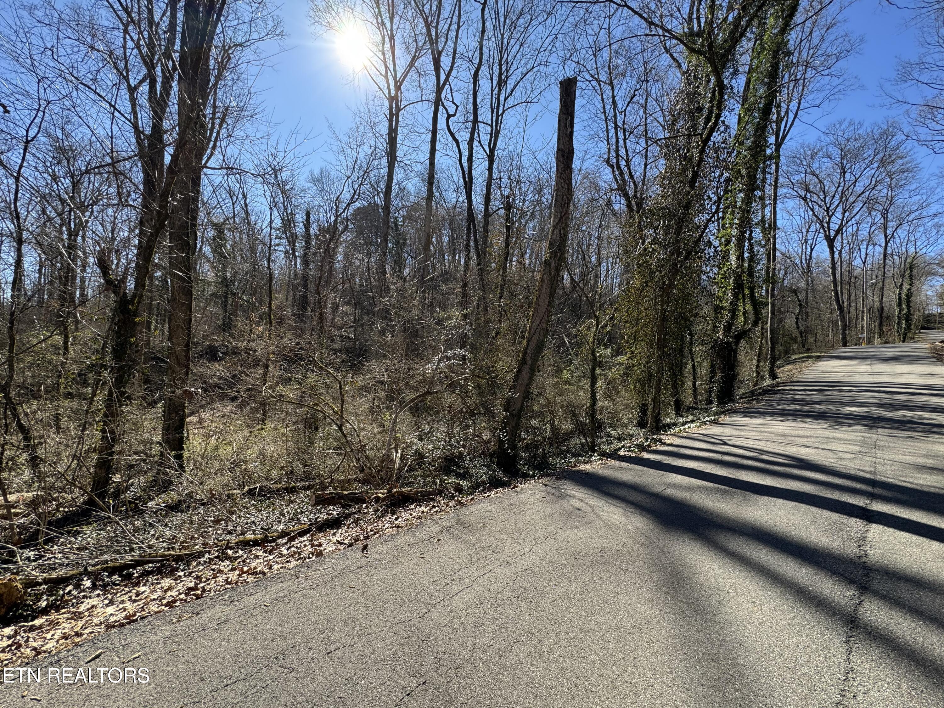 4921 Wise Hills Rd, Knoxville, TN - Fort Loudoun and Tellico Lake Real Estate - Image# 10