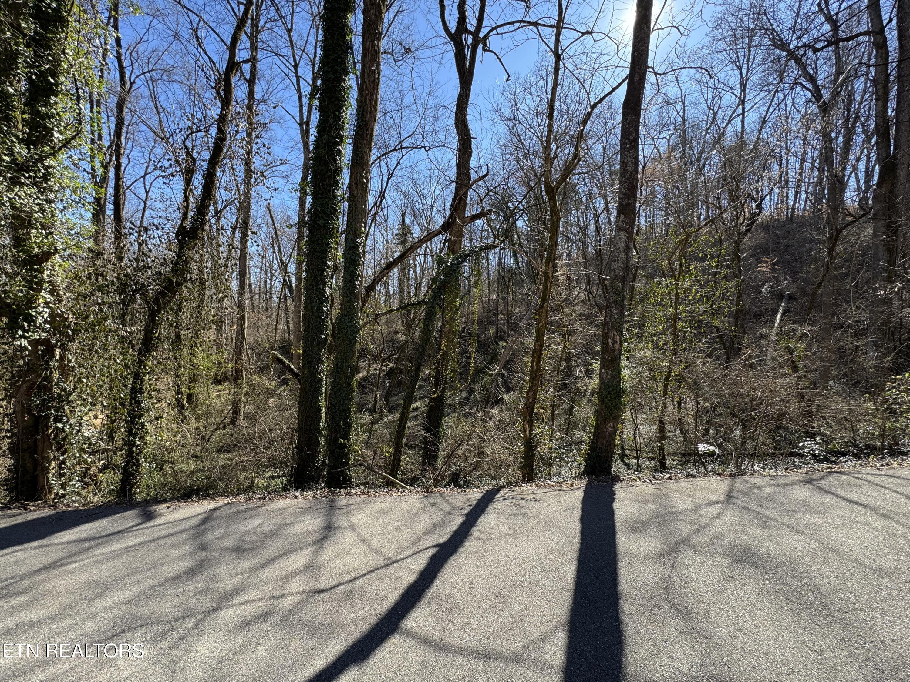 4921 Wise Hills Rd, Knoxville, TN - Fort Loudoun and Tellico Lake Real Estate - Image# 11
