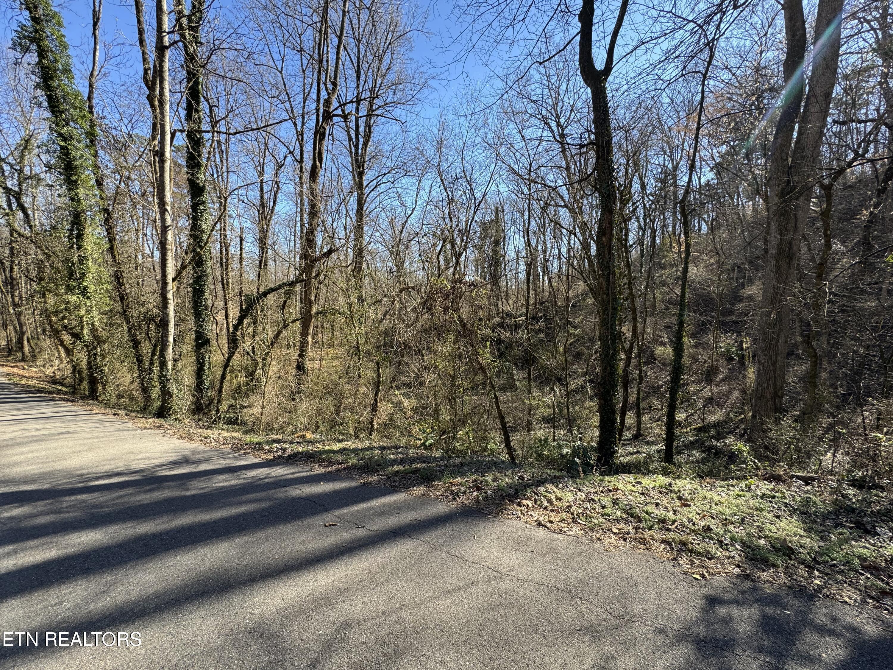 4921 Wise Hills Rd, Knoxville, TN - Fort Loudoun and Tellico Lake Real Estate - Image# 12