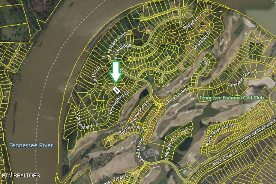 417 Ladybug Lane, Loudon, TN - Fort Loudoun and Tellico Lake Real Estate - Image# 33