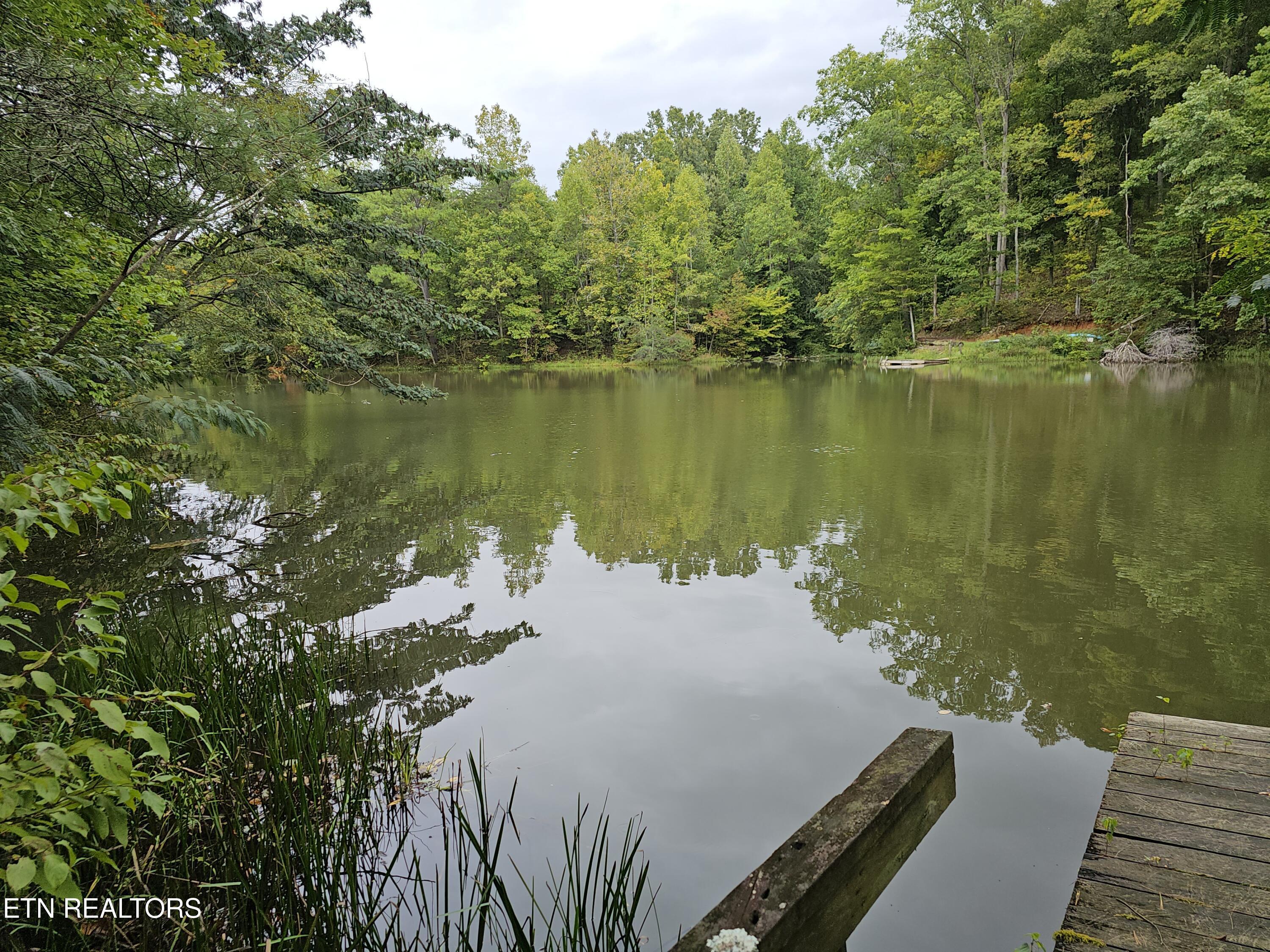 Fort Loudoun and Tellico Lake Real Estate - Image# 1