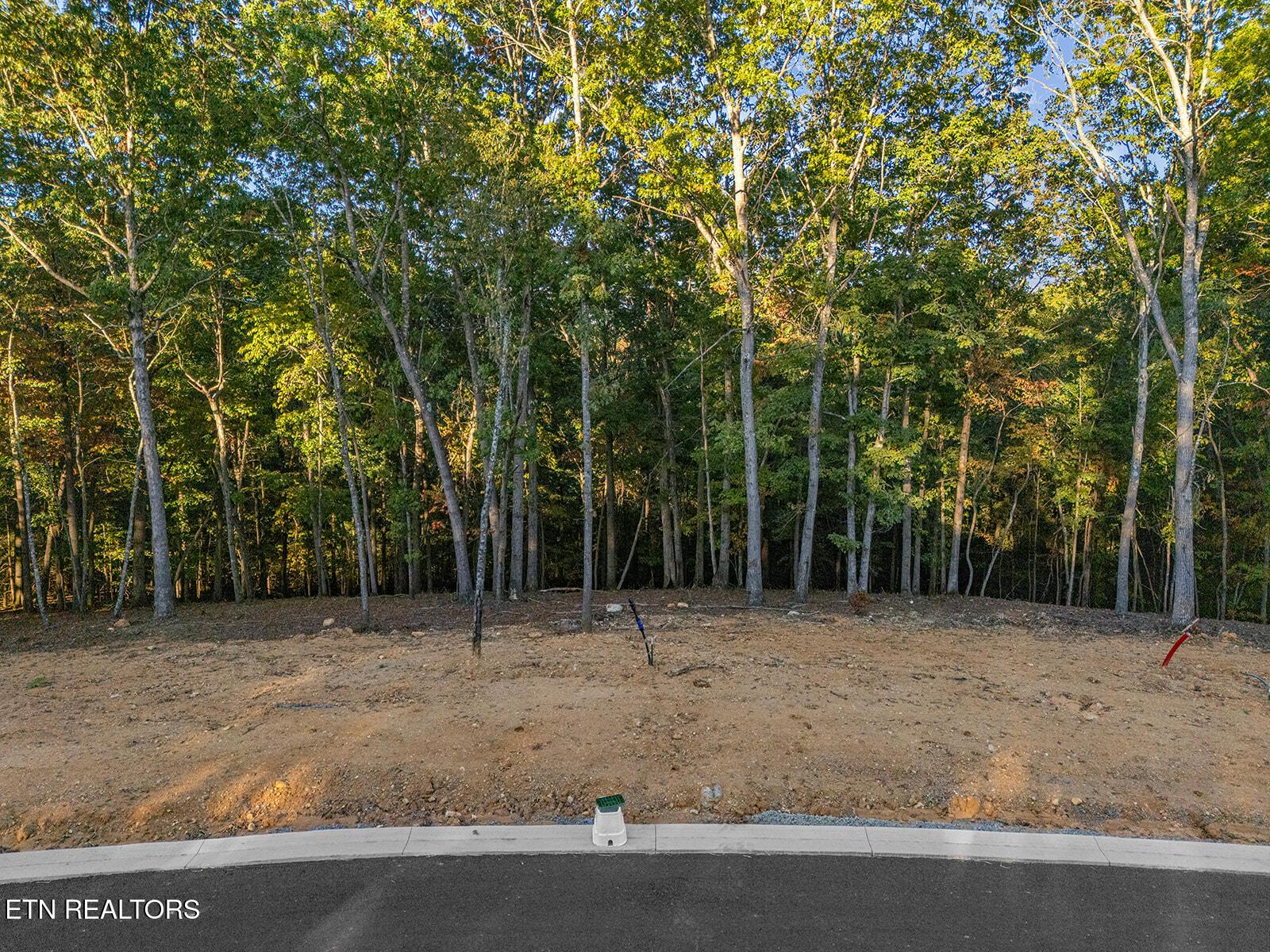 Fort Loudoun and Tellico Lake Real Estate - Image# 17