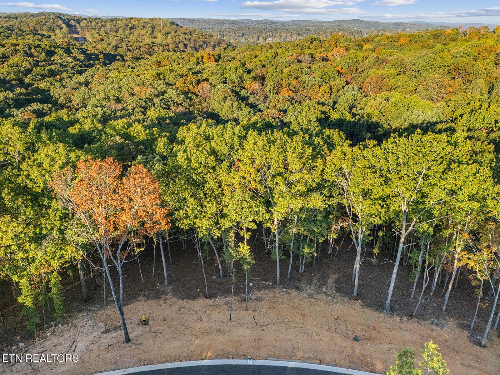 Fort Loudoun and Tellico Lake Real Estate - Image# 15