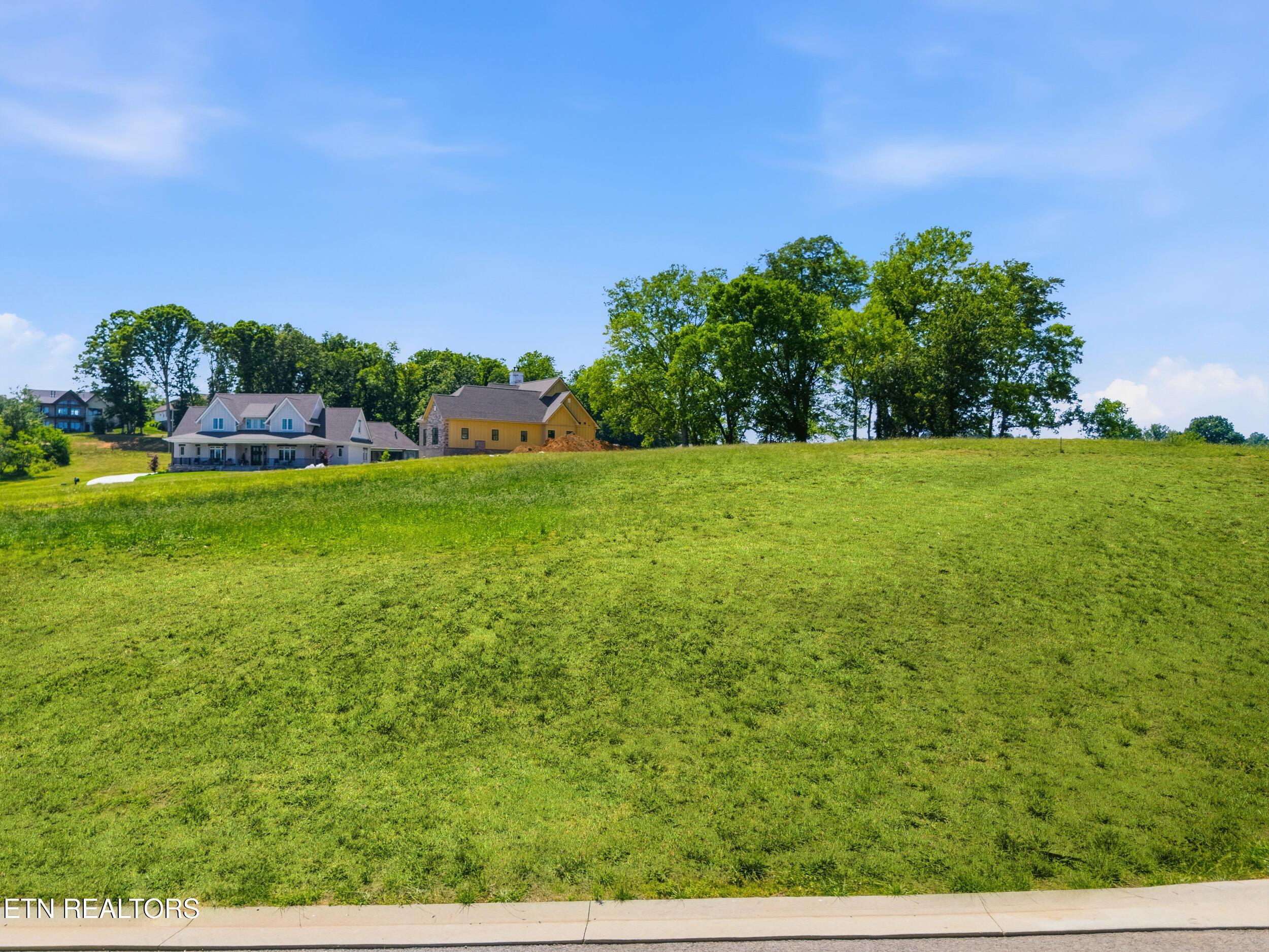 3347 Chestnut Lane, Loudon, TN - Fort Loudoun and Tellico Lake Real Estate - Image# 8