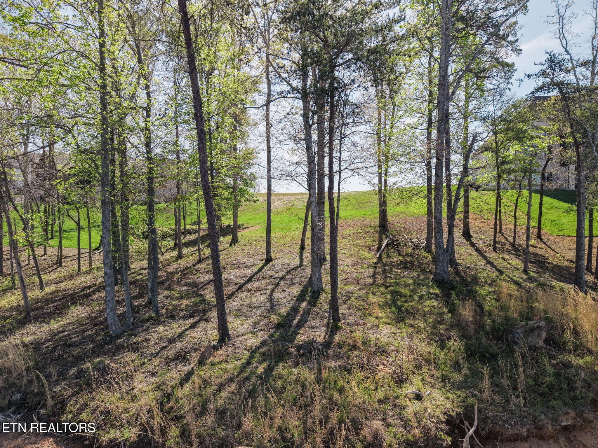Fort Loudoun and Tellico Lake Real Estate - Image# 14