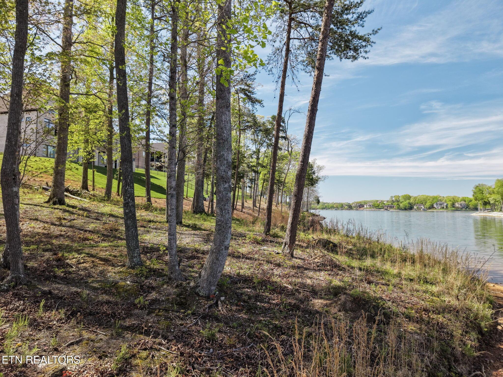 Fort Loudoun and Tellico Lake Real Estate - Image# 16