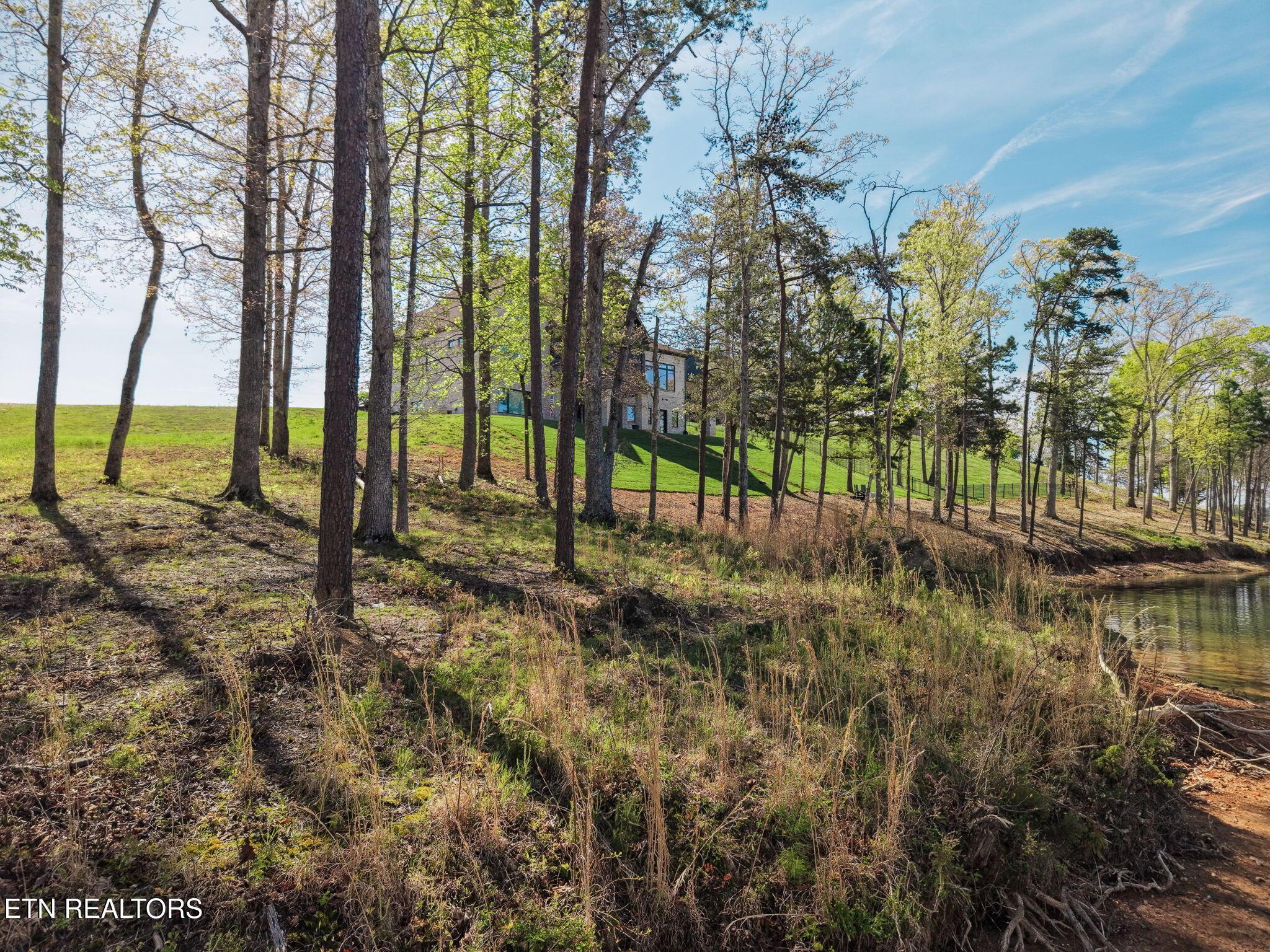Fort Loudoun and Tellico Lake Real Estate - Image# 18