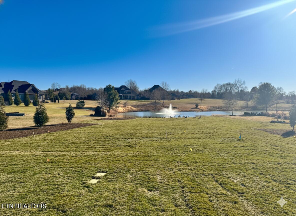 Fort Loudoun and Tellico Lake Real Estate - Image# 89