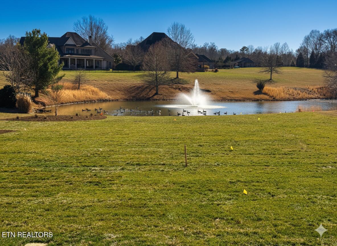 Fort Loudoun and Tellico Lake Real Estate - Image# 9