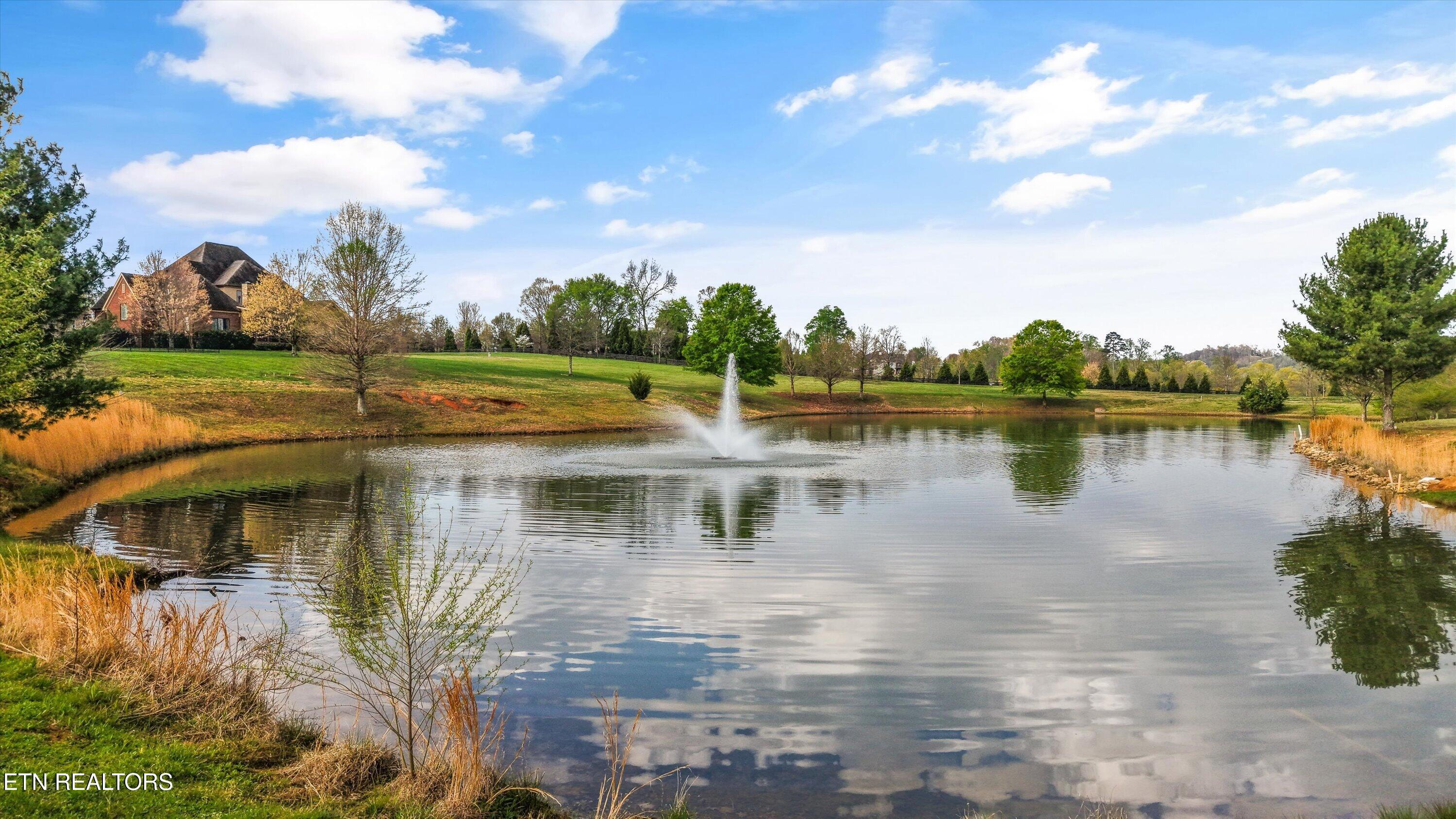 Fort Loudoun and Tellico Lake Real Estate - Image# 132