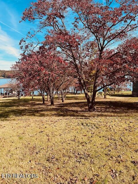 Brooksview Rd, Lenoir City, TN - Fort Loudoun and Tellico Lake Real Estate - Image# 2