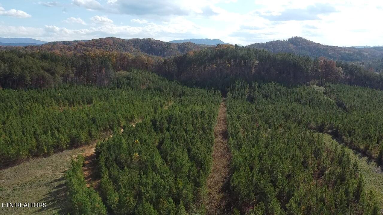 Lot 51 Three Point Rd, Vonore, TN - Fort Loudoun and Tellico Lake Real Estate - Image# 4