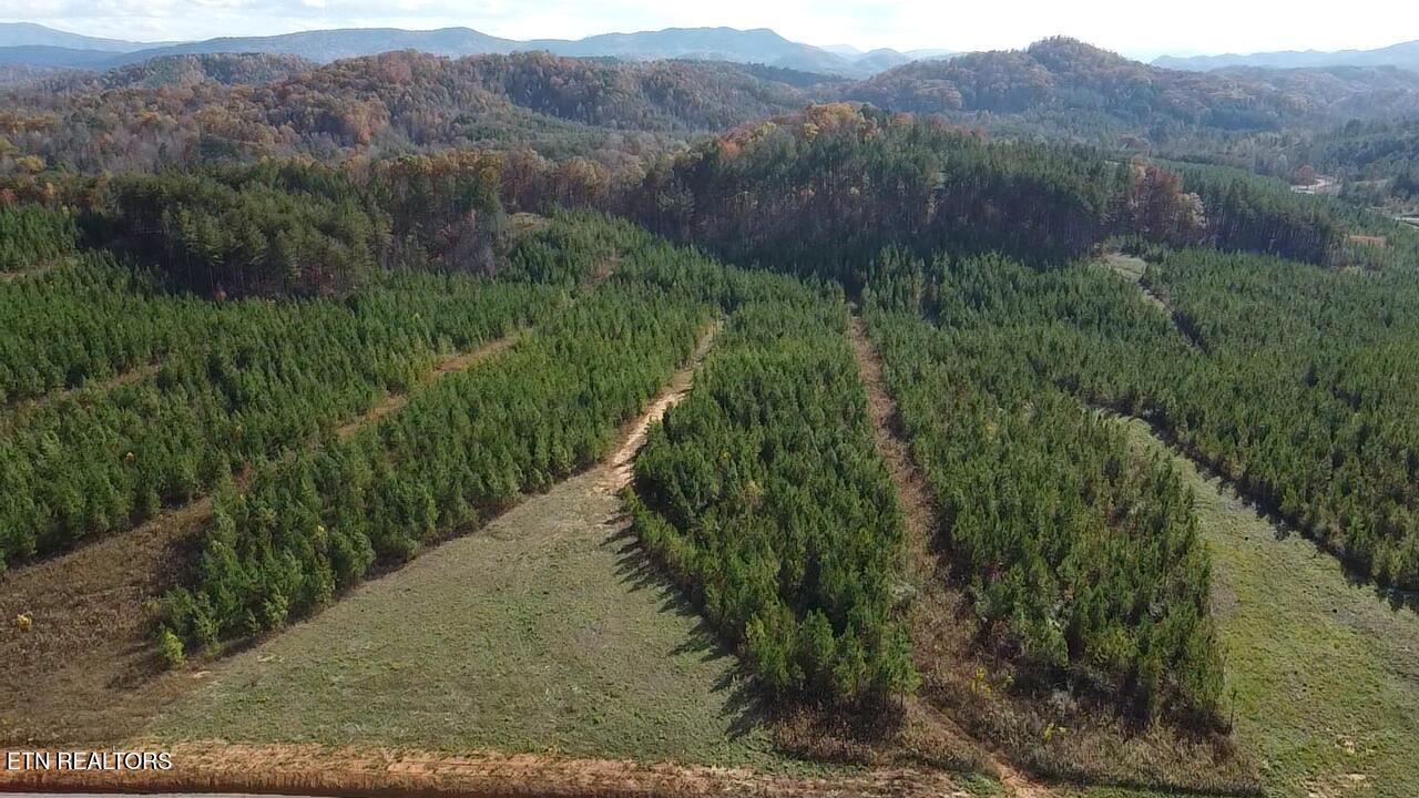 Lot 51 Three Point Rd, Vonore, TN - Fort Loudoun and Tellico Lake Real Estate - Image# 2