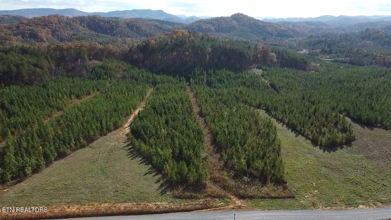 Lot 51 Three Point Rd, Vonore, TN - Fort Loudoun and Tellico Lake Real Estate - Image# 10