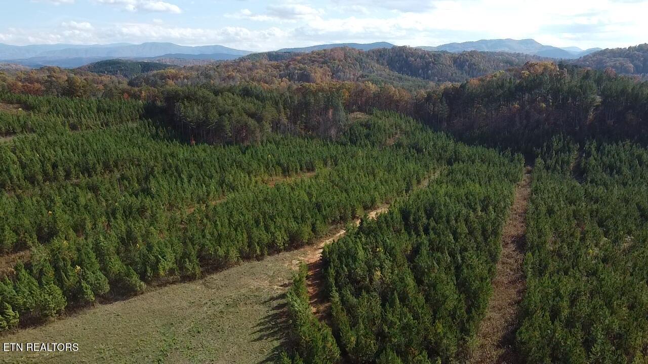 Lot 51 Three Point Rd, Vonore, TN - Fort Loudoun and Tellico Lake Real Estate - Image# 14