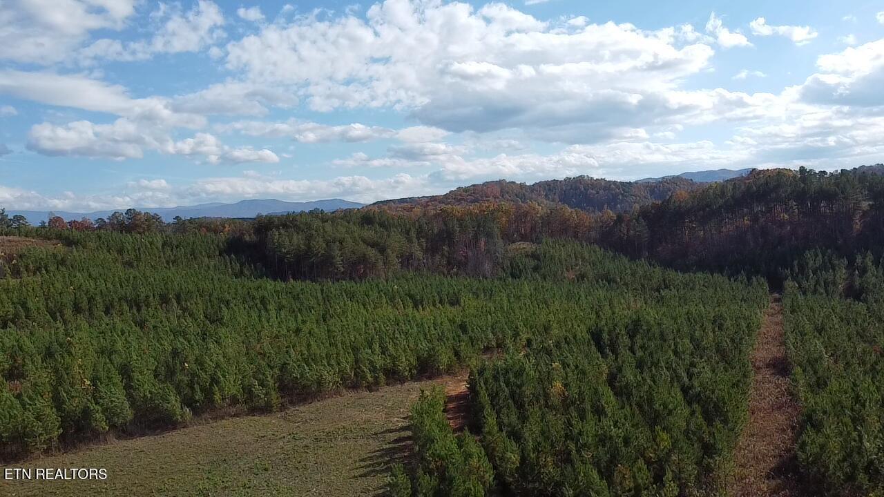 Lot 51 Three Point Rd, Vonore, TN - Fort Loudoun and Tellico Lake Real Estate - Image# 16