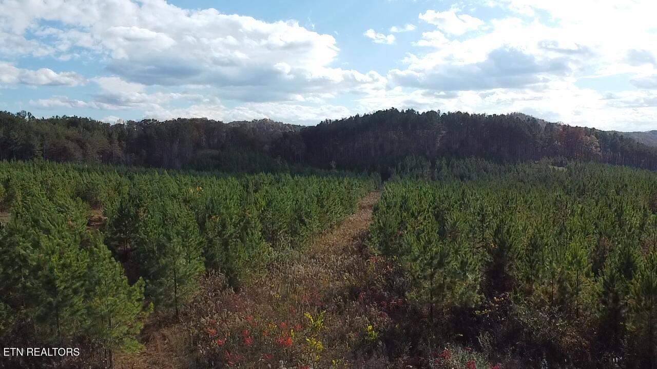 Lot 51 Three Point Rd, Vonore, TN - Fort Loudoun and Tellico Lake Real Estate - Image# 36