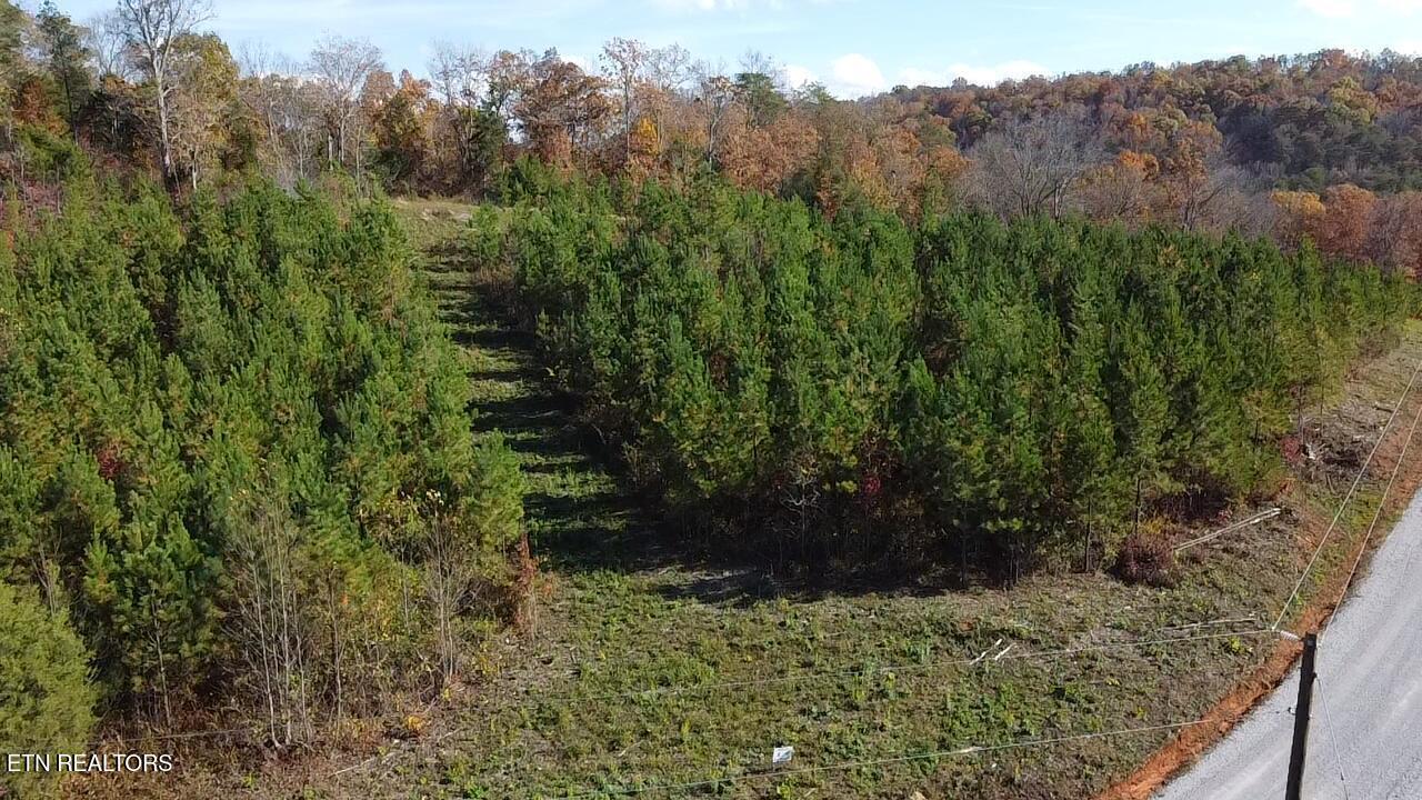 Lot 6 Three Point Rd, Vonore, TN - Fort Loudoun and Tellico Lake Real Estate - Image# 2