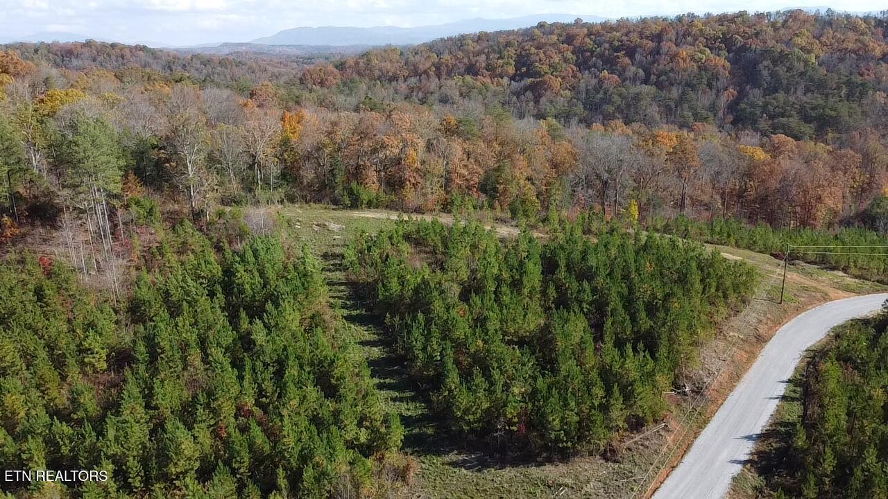 Lot 6 Three Point Rd, Vonore, TN - Fort Loudoun and Tellico Lake Real Estate - Image# 4