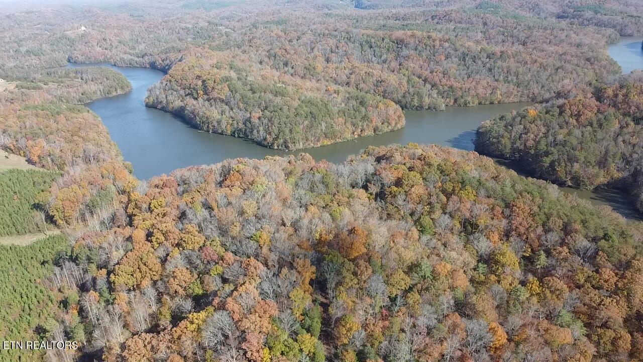 Lot 6 Three Point Rd, Vonore, TN - Fort Loudoun and Tellico Lake Real Estate - Image# 6