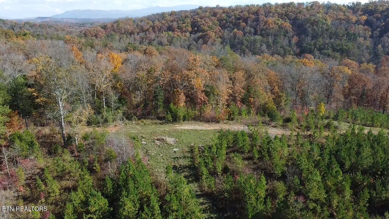 Lot 6 Three Point Rd, Vonore, TN - Fort Loudoun and Tellico Lake Real Estate - Image# 18