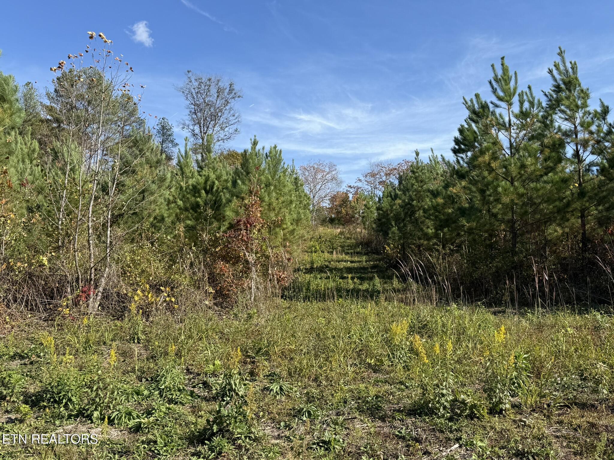 Lot 6 Three Point Rd, Vonore, TN - Fort Loudoun and Tellico Lake Real Estate - Image# 20