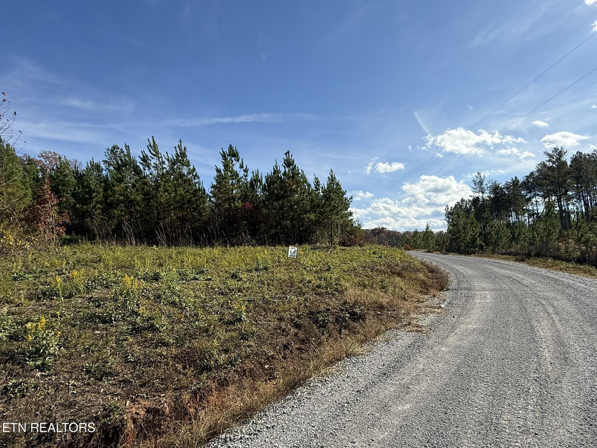 Lot 6 Three Point Rd, Vonore, TN - Fort Loudoun and Tellico Lake Real Estate - Image# 24