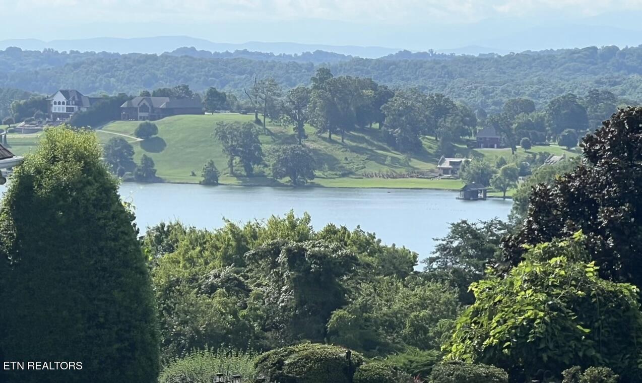 Fort Loudoun and Tellico Lake Real Estate - Image# 10