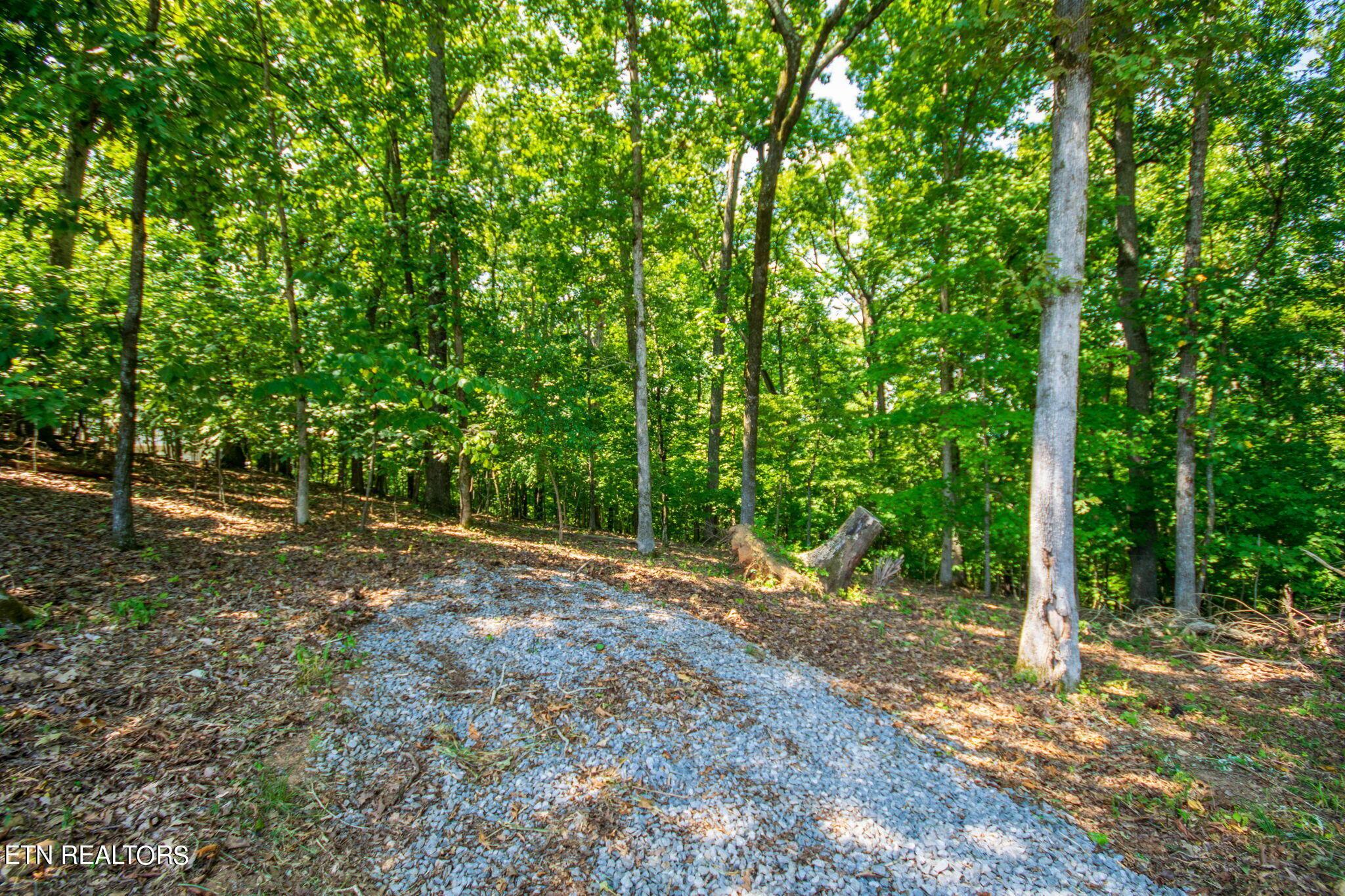 Fort Loudoun and Tellico Lake Real Estate - Image# 6