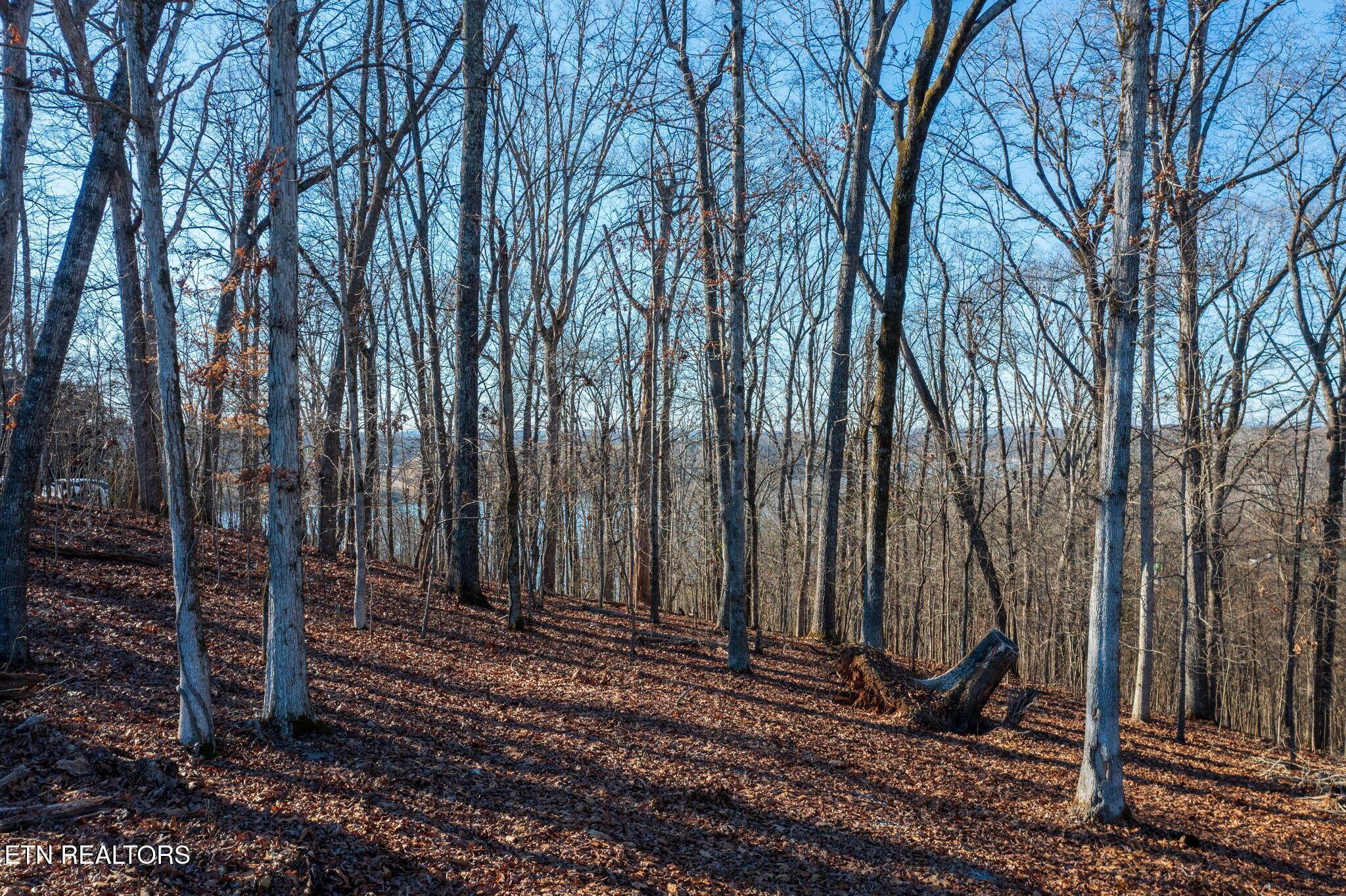 Fort Loudoun and Tellico Lake Real Estate - Image# 11