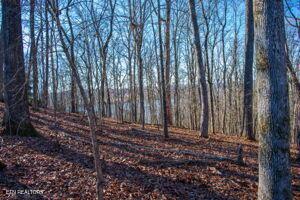 Fort Loudoun and Tellico Lake Real Estate - Image# 6