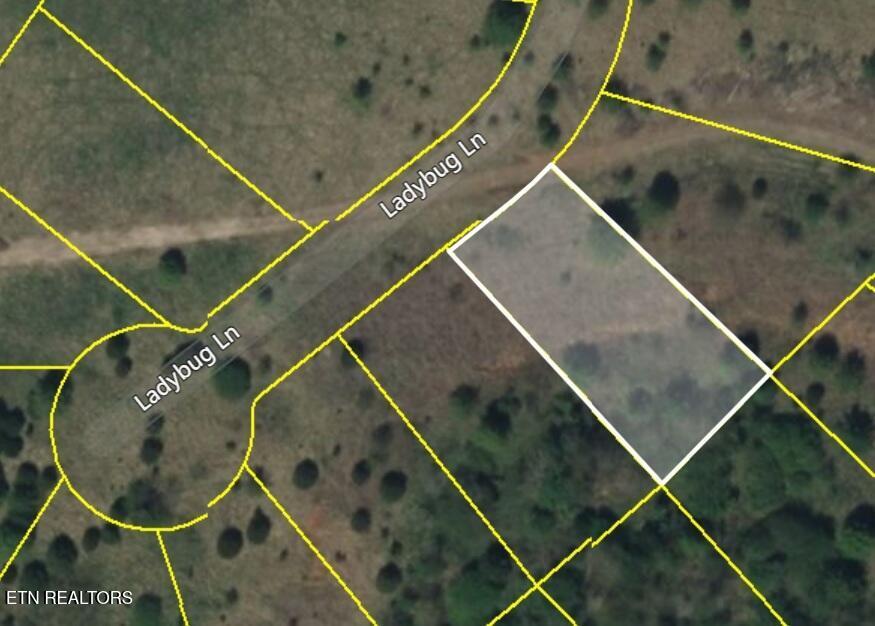 Fort Loudoun and Tellico Lake Real Estate - Image# 4