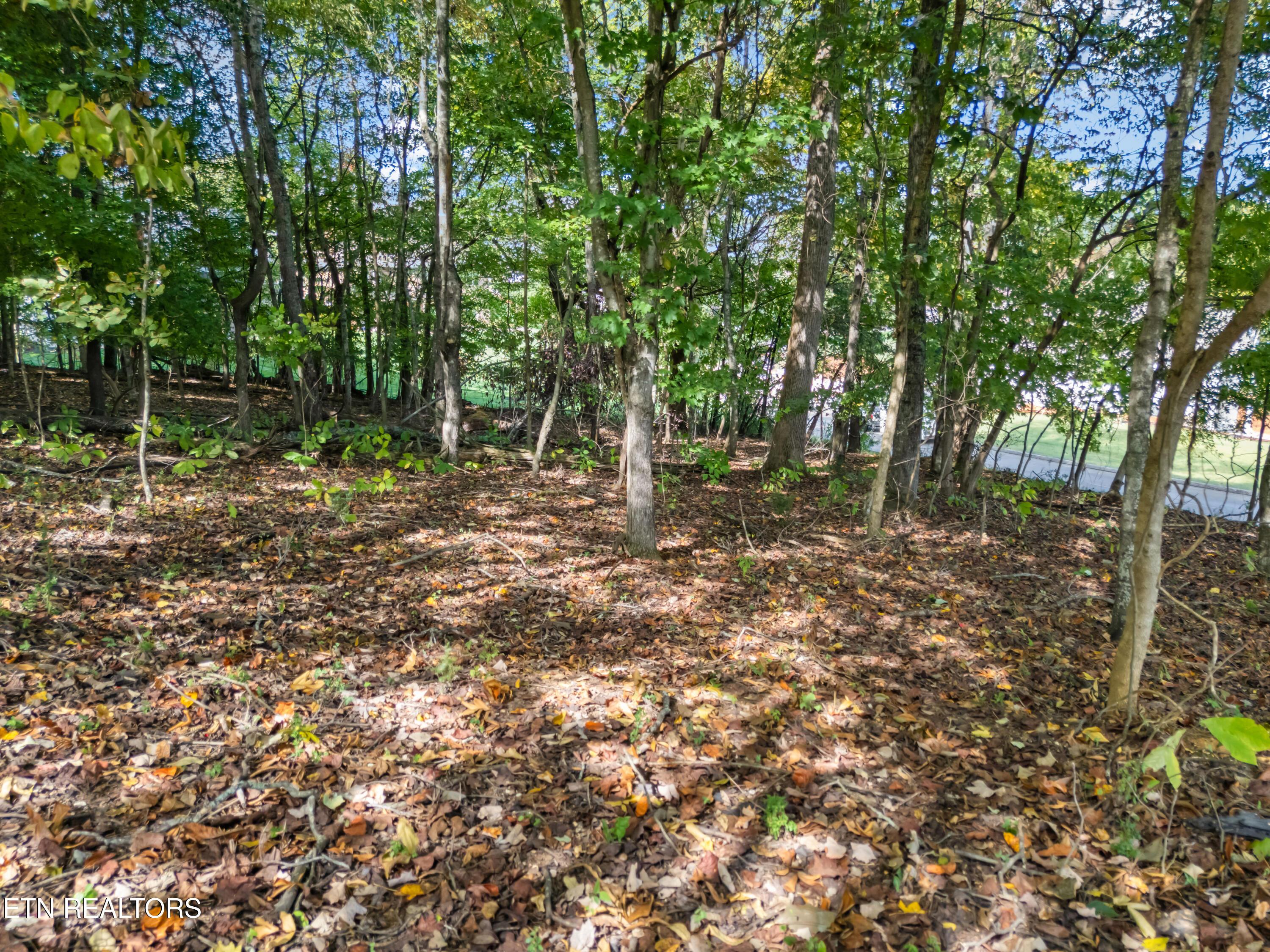 Fort Loudoun and Tellico Lake Real Estate - Image# 12