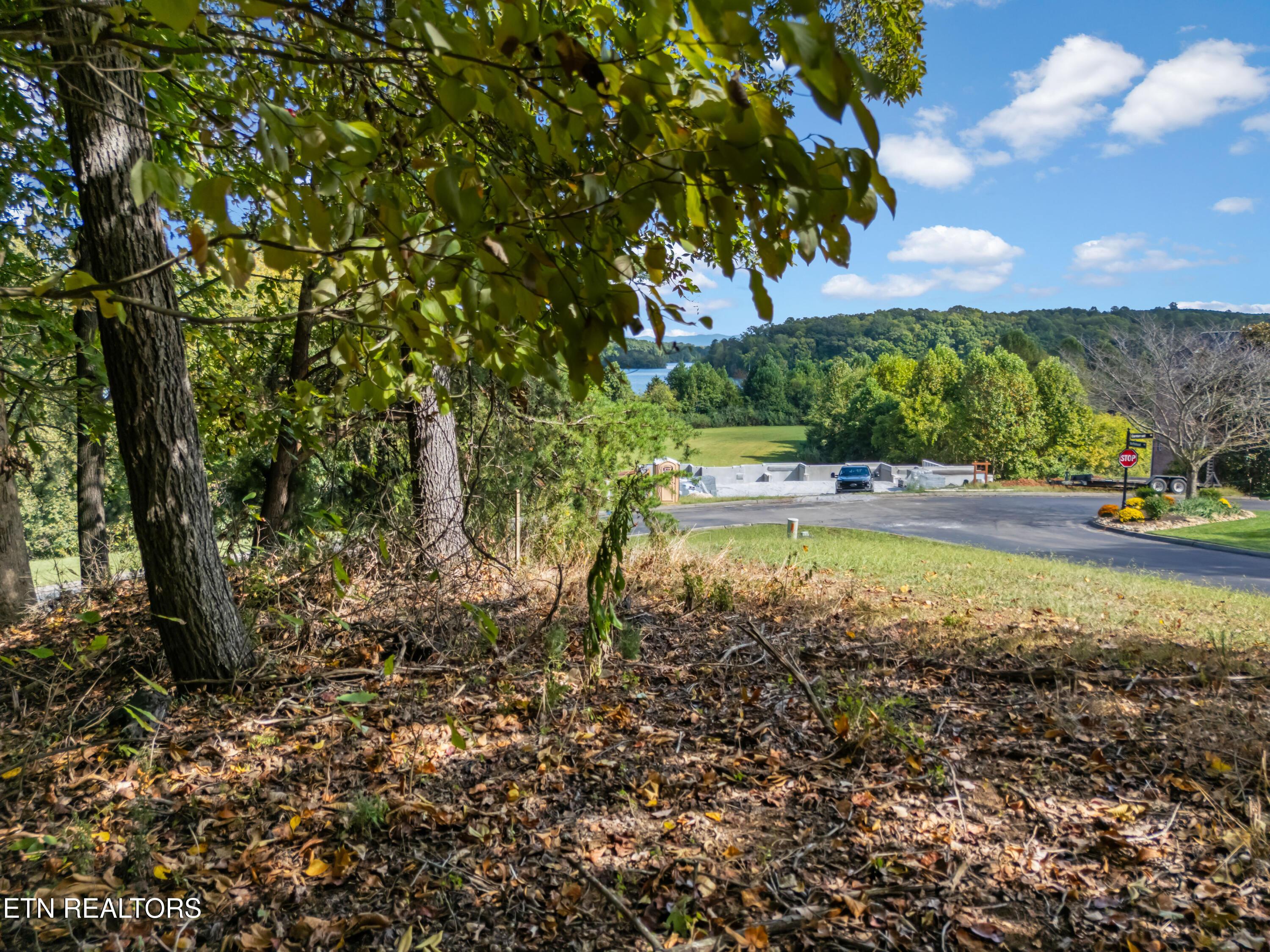 Fort Loudoun and Tellico Lake Real Estate - Image# 13