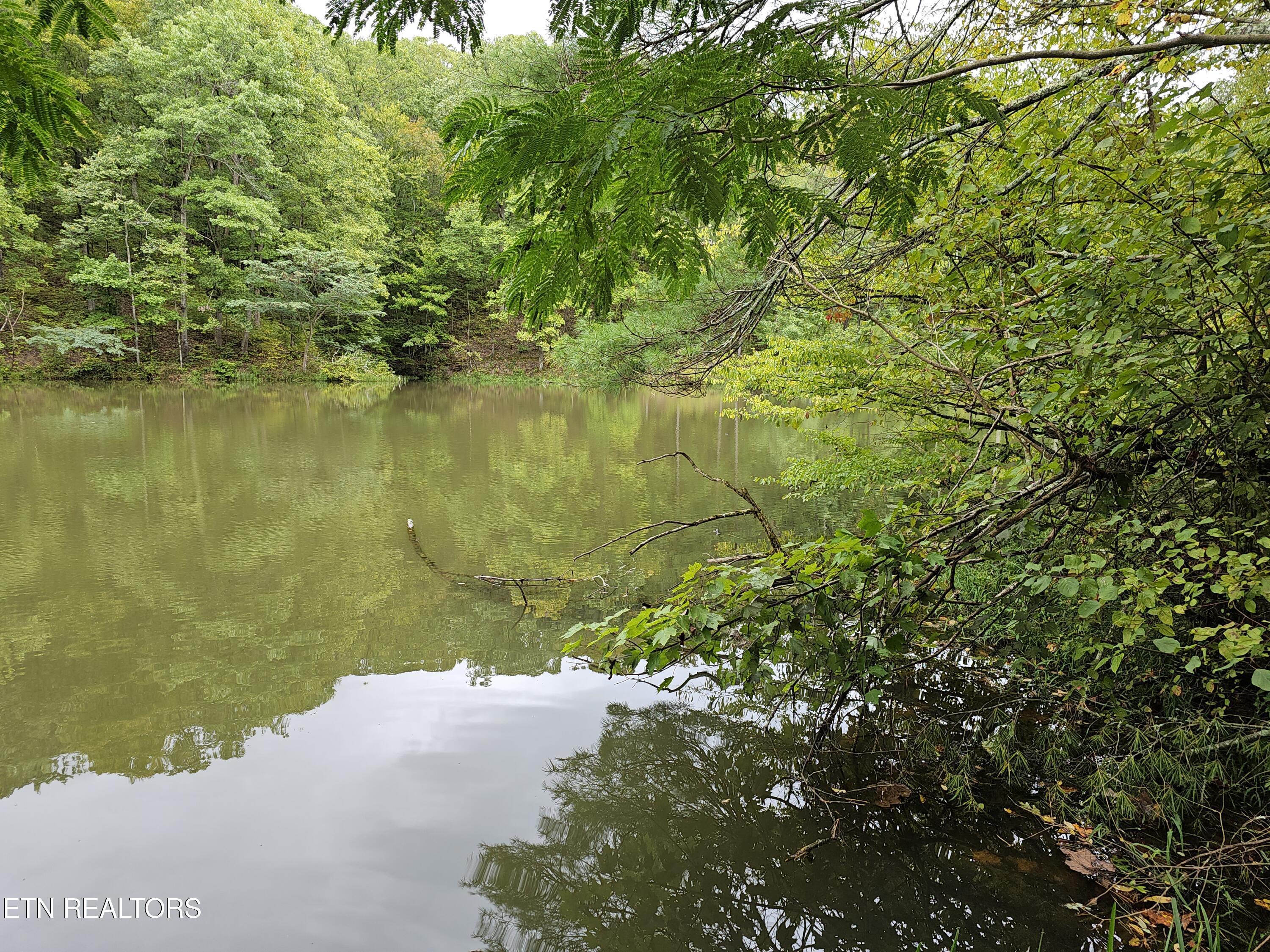 Fort Loudoun and Tellico Lake Real Estate - Image# 2