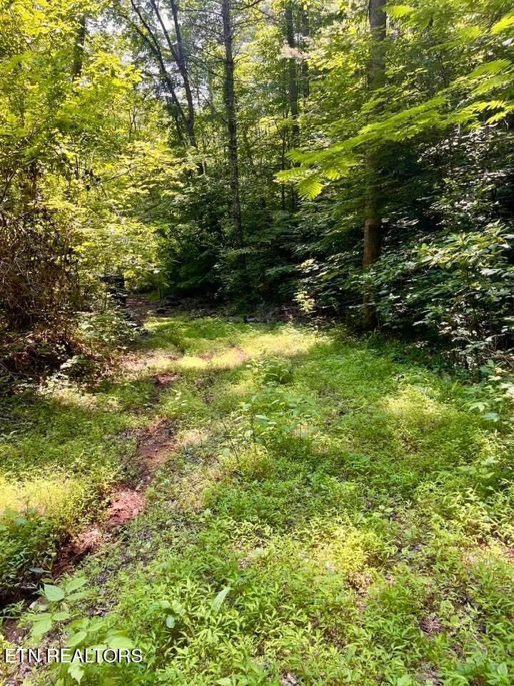 Fort Loudoun and Tellico Lake Real Estate - Image# 6