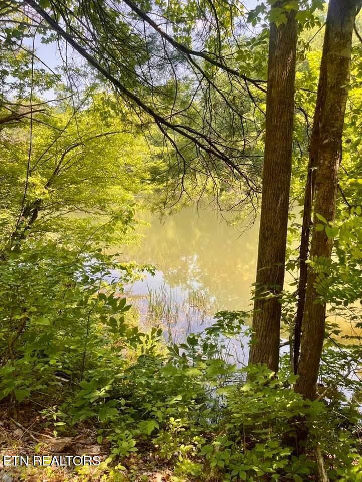 Fort Loudoun and Tellico Lake Real Estate - Image# 8