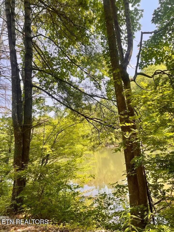 Fort Loudoun and Tellico Lake Real Estate - Image# 9