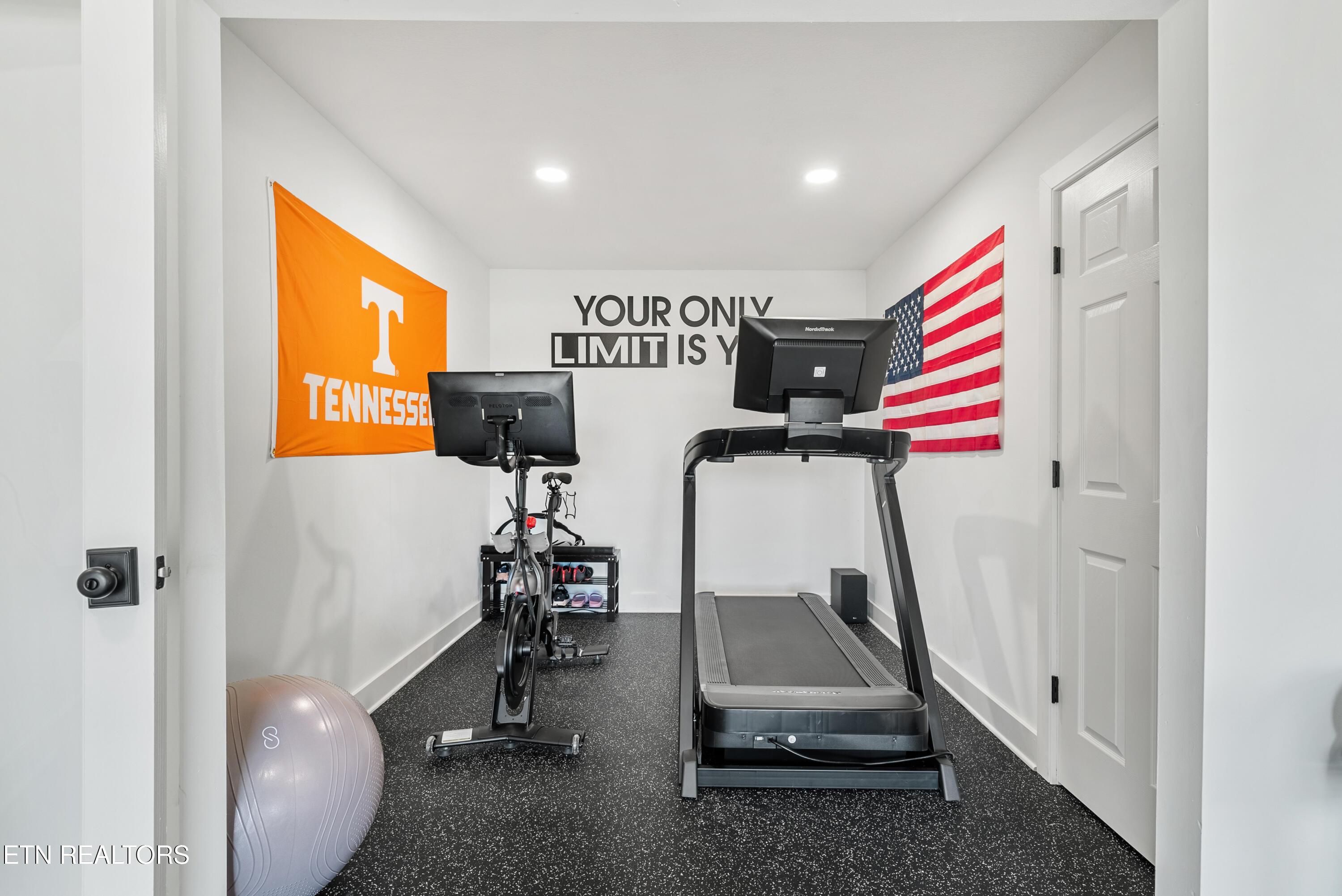 211 Osprey Circle, Vonore, TN - Fort Loudoun and Tellico Lake Real Estate - Image# 52