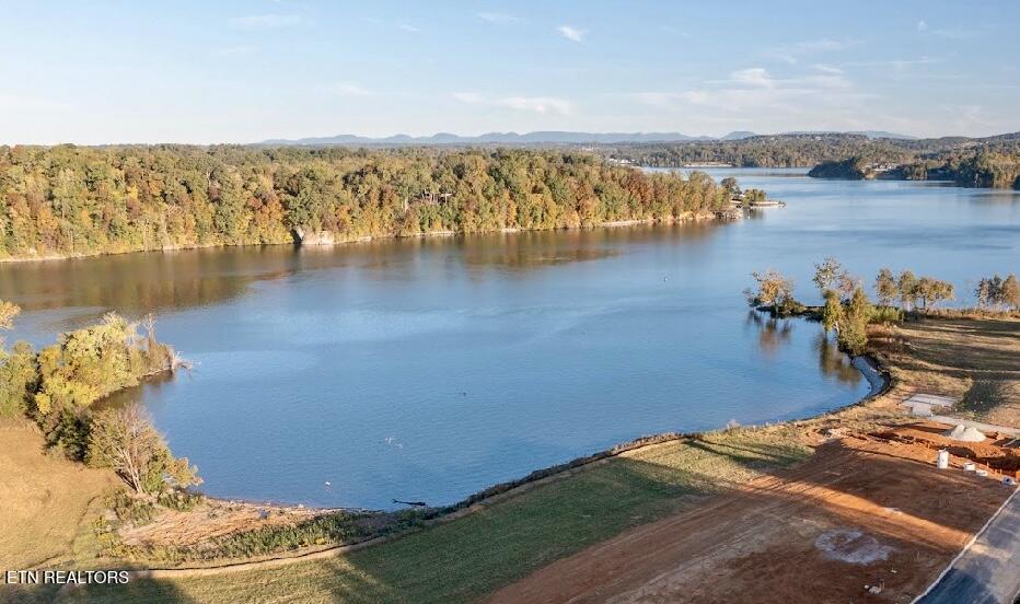 Fort Loudoun and Tellico Lake Real Estate - Image# 1