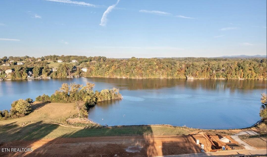 Fort Loudoun and Tellico Lake Real Estate - Image# 2