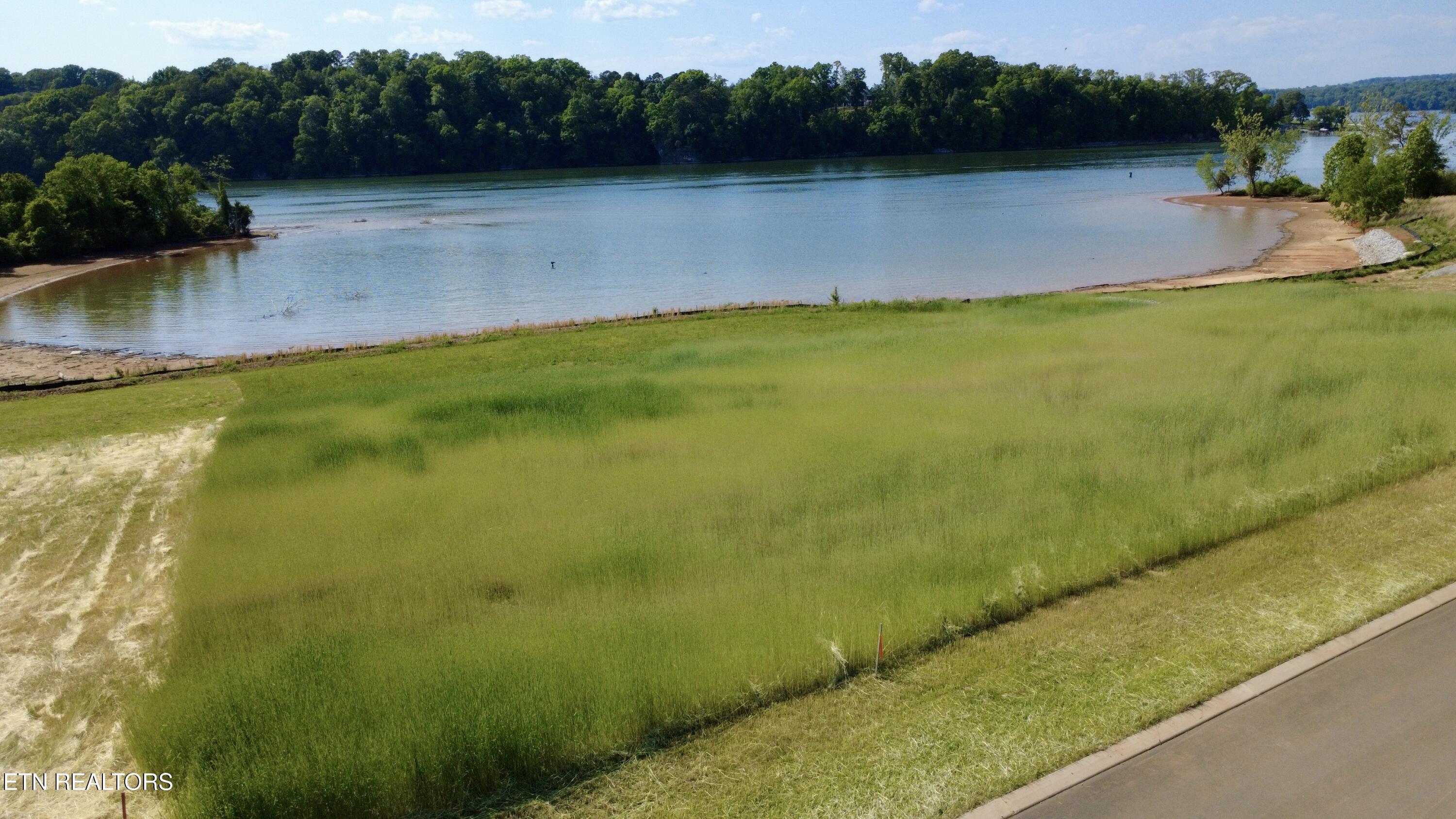 Lot 419 Arcadia Peninsula Way, Knoxville, TN - Fort Loudoun and Tellico Lake Real Estate - Image# 2