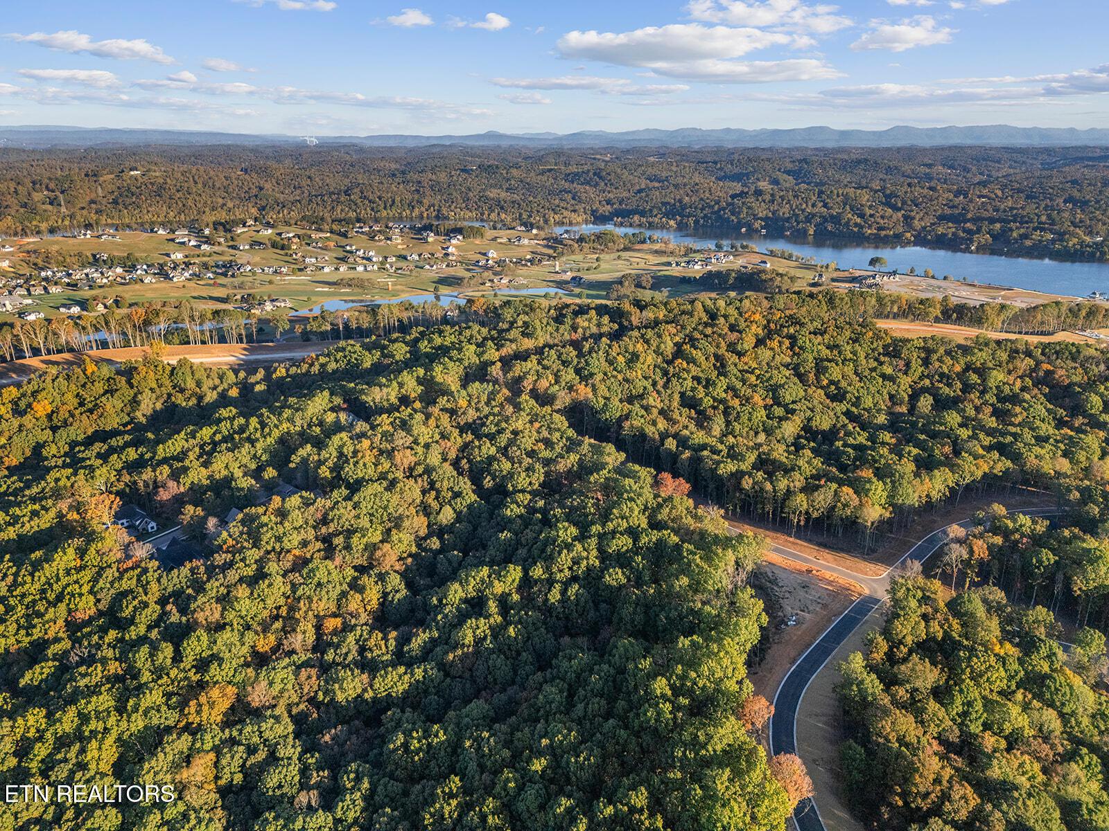 227 Flip Flop Way, Loudon, TN - Fort Loudoun and Tellico Lake Real Estate - Image# 9