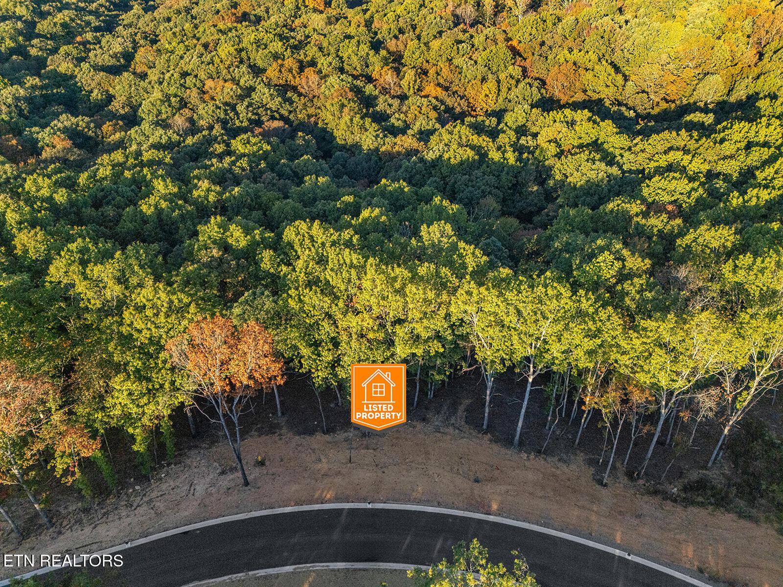 227 Flip Flop Way, Loudon, TN - Fort Loudoun and Tellico Lake Real Estate - Image# 16