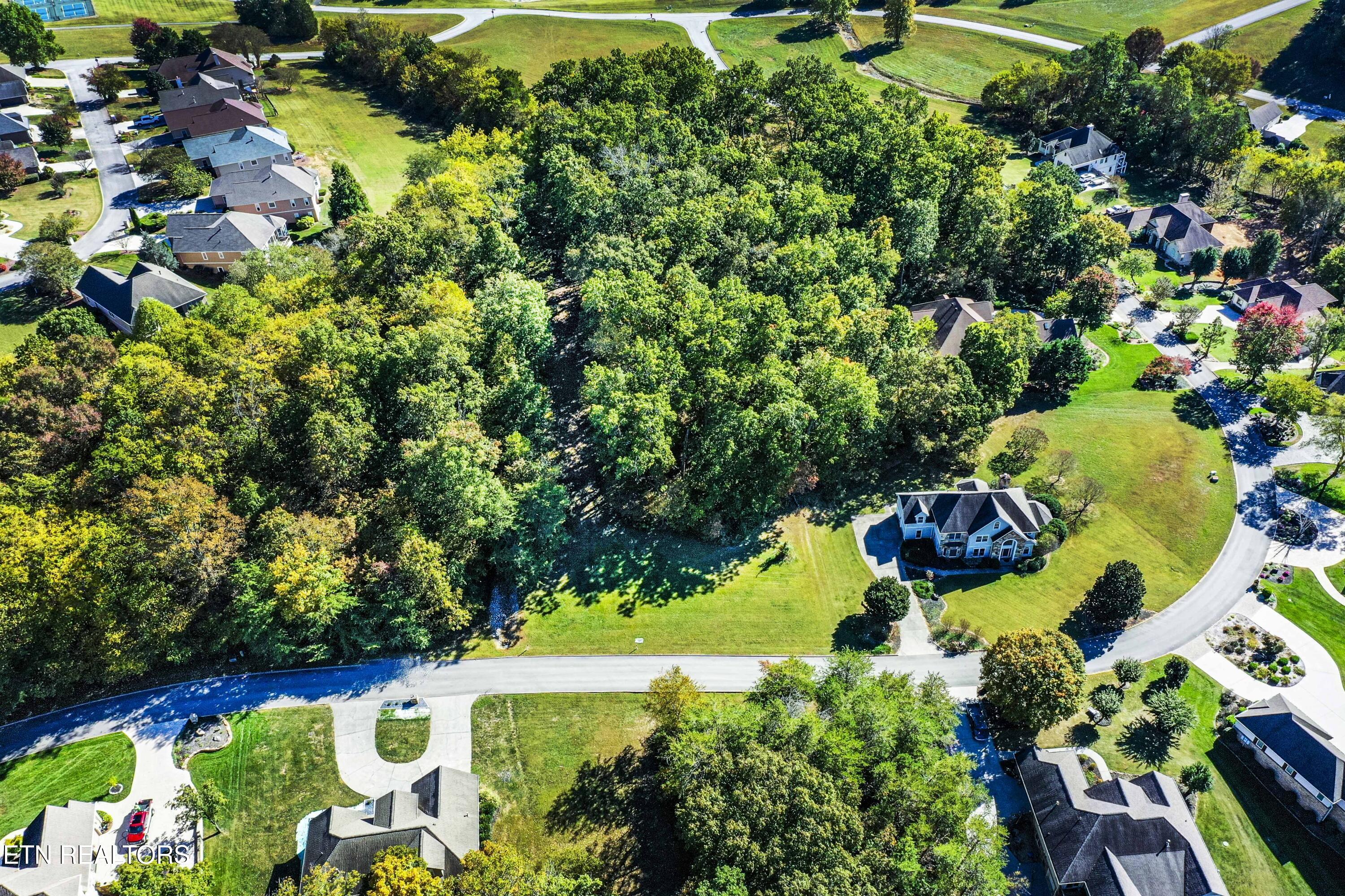 616 Sandpiper Drive, Vonore, TN - Fort Loudoun and Tellico Lake Real Estate - Image# 2