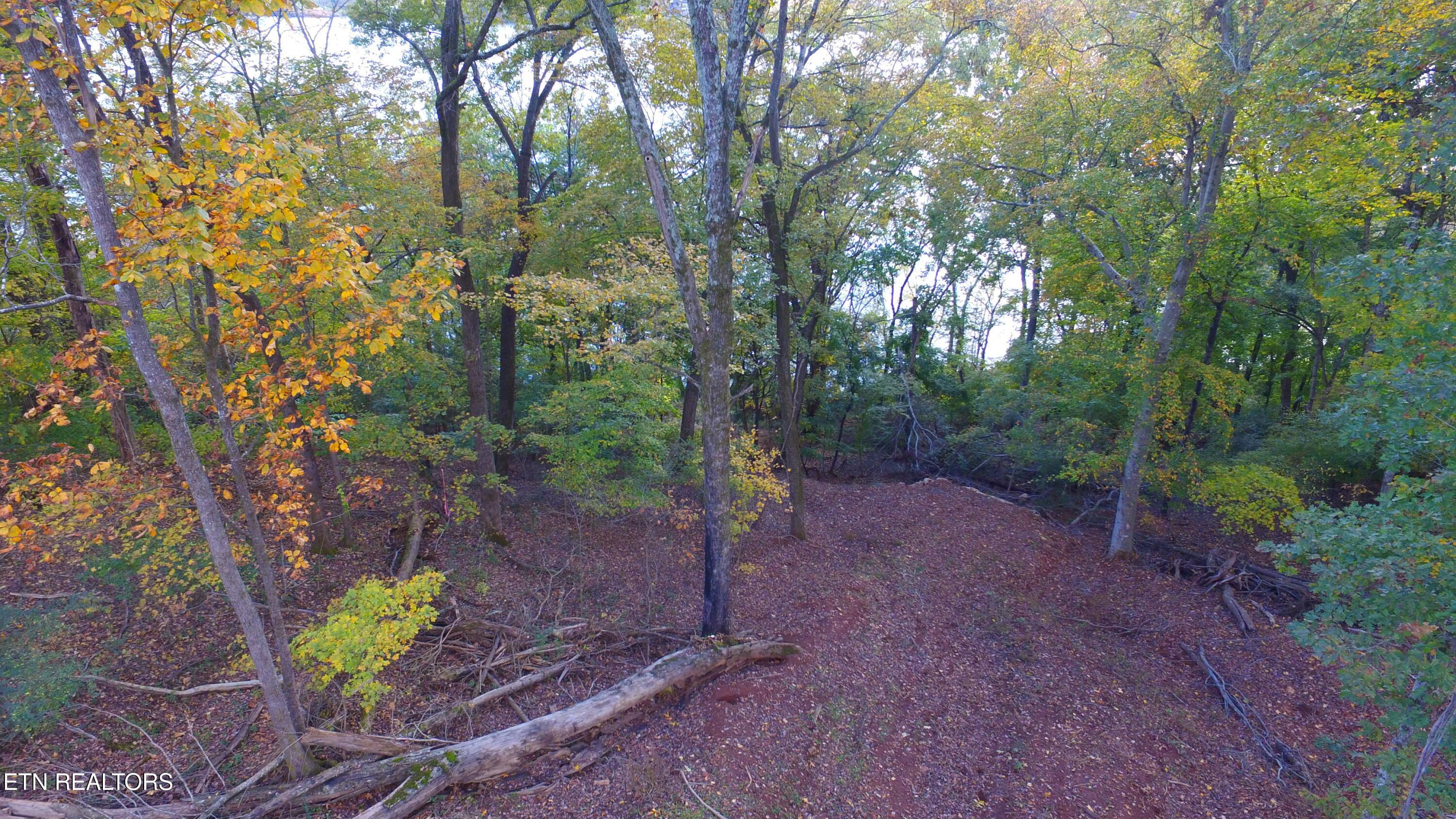 173 Cedar Grove St, Loudon, TN - Fort Loudoun and Tellico Lake Real Estate - Image# 15