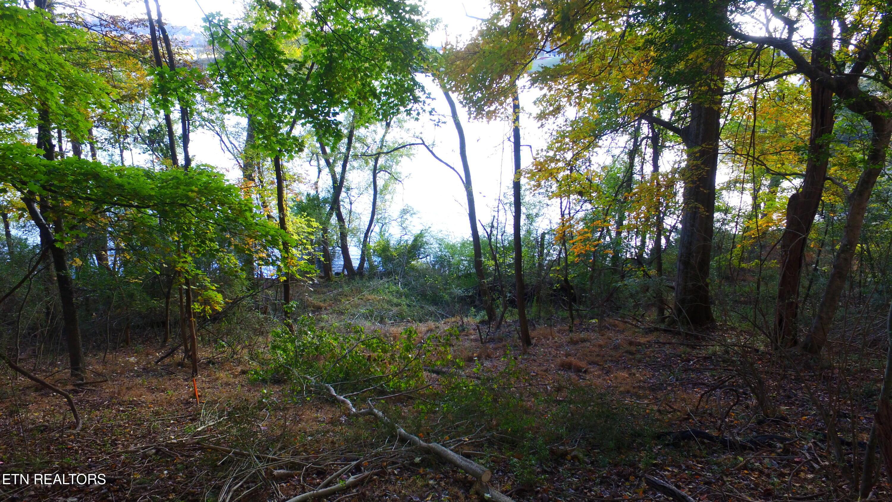 173 Cedar Grove St, Loudon, TN - Fort Loudoun and Tellico Lake Real Estate - Image# 17