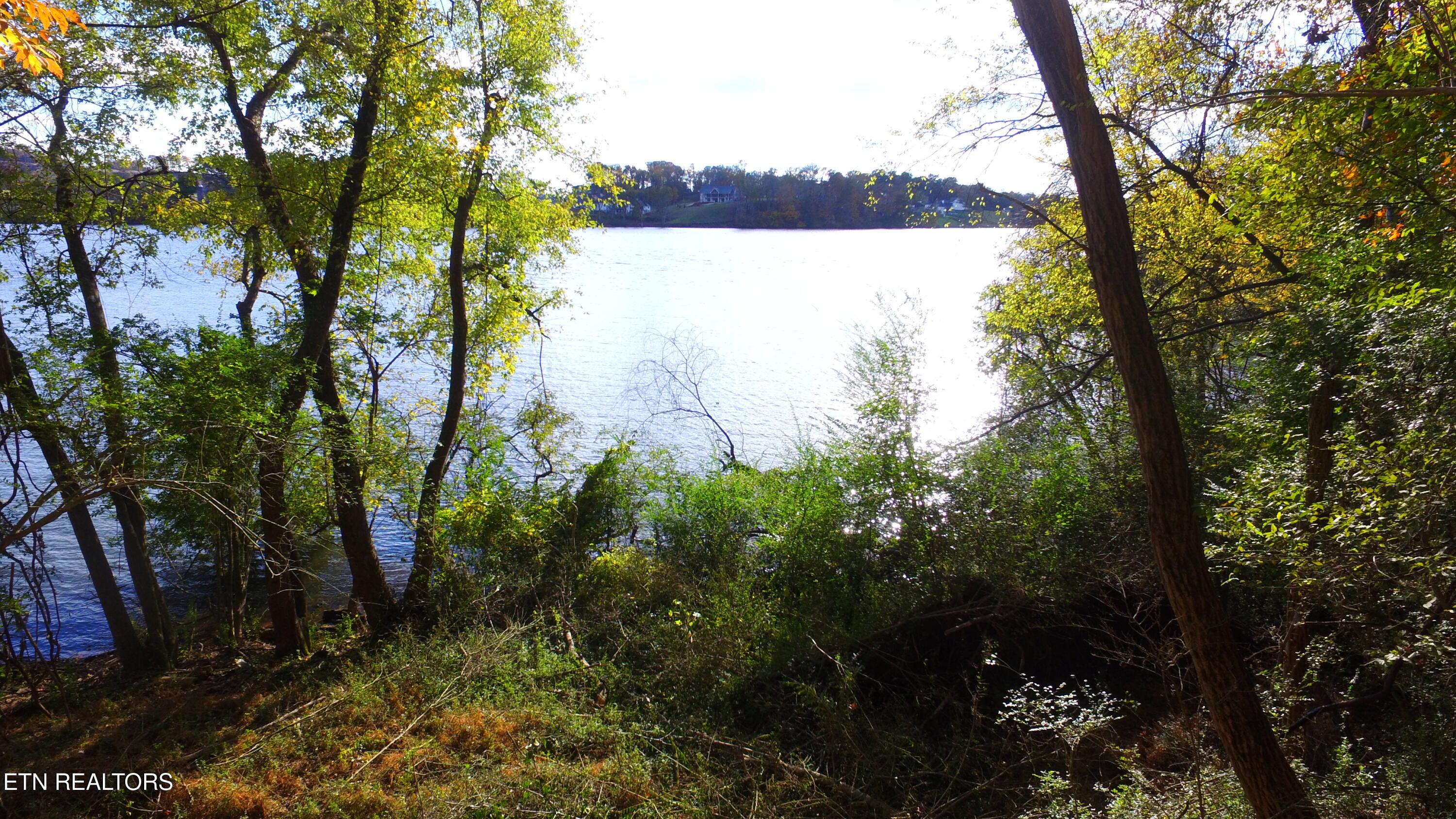 173 Cedar Grove St, Loudon, TN - Fort Loudoun and Tellico Lake Real Estate - Image# 19