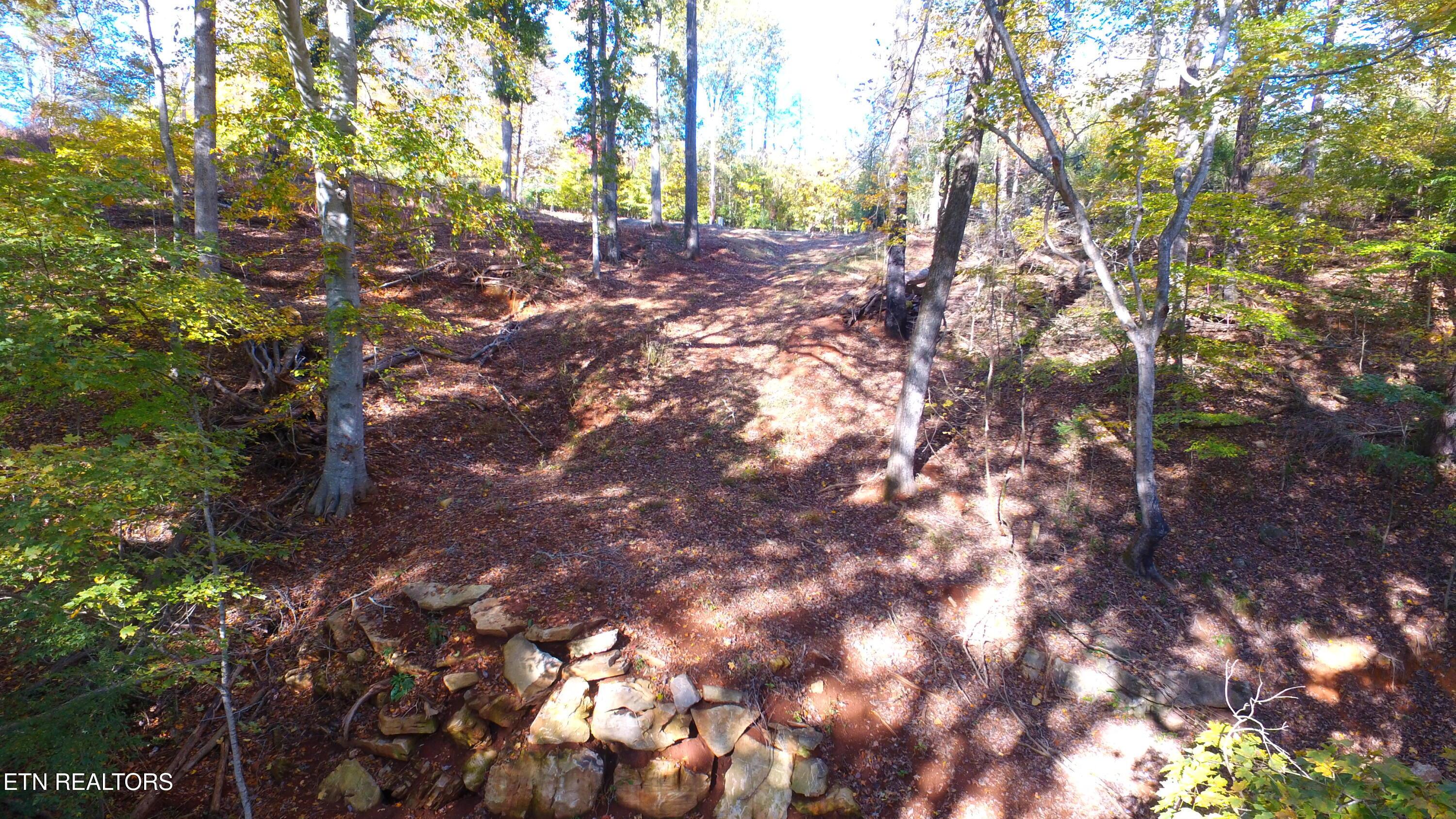 173 Cedar Grove St, Loudon, TN - Fort Loudoun and Tellico Lake Real Estate - Image# 24