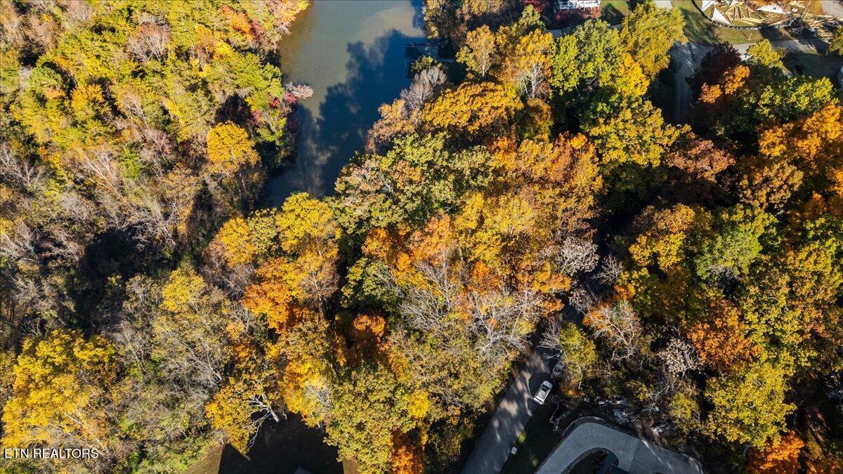 1510 Sequoia Drive, Maryville, TN - Fort Loudoun and Tellico Lake Real Estate - Image# 10